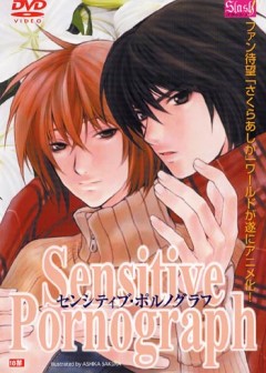 Чувствительный порнограф
