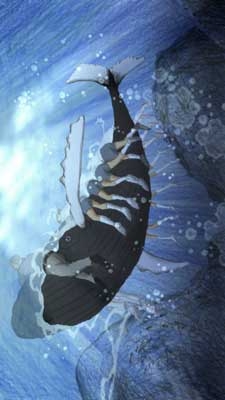 Kouchou-sensei to Kujira