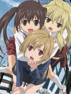 Сёстры Минами [ТВ-2]