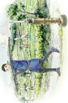 Дедушкина лампа