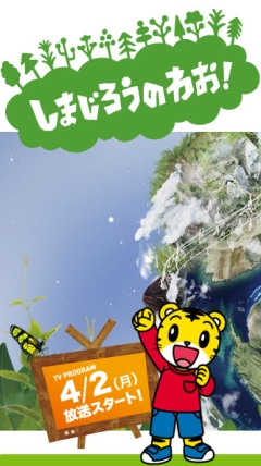 Полосатый тигренок Симадзиро [ТВ-4]